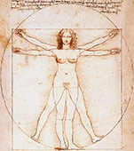 Vitruvian Woman