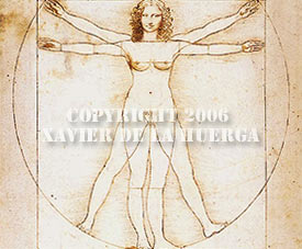 Vitruvian Woman